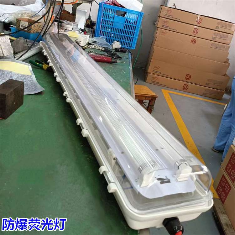 双管防爆防腐全塑荧光灯工程塑料材质防爆灯具双支日光灯管T8