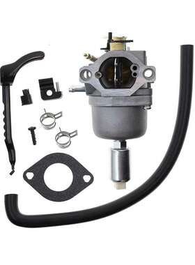 799727化油器698620 690194 791886 799727 496796 499153 695412