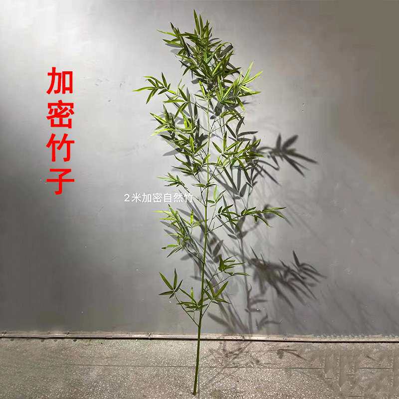 竹子室内装饰真加密过胶叶细水假竹外景观挡墙造景加密绿植