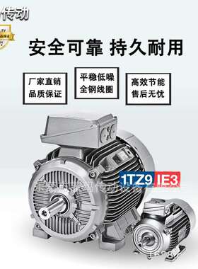 供应挪威  LONNE电机  1TZ9 系列  IE3电动机 马达