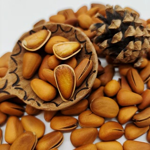 新货手剥东北松子大颗粒开口500g散装休闲零食包邮