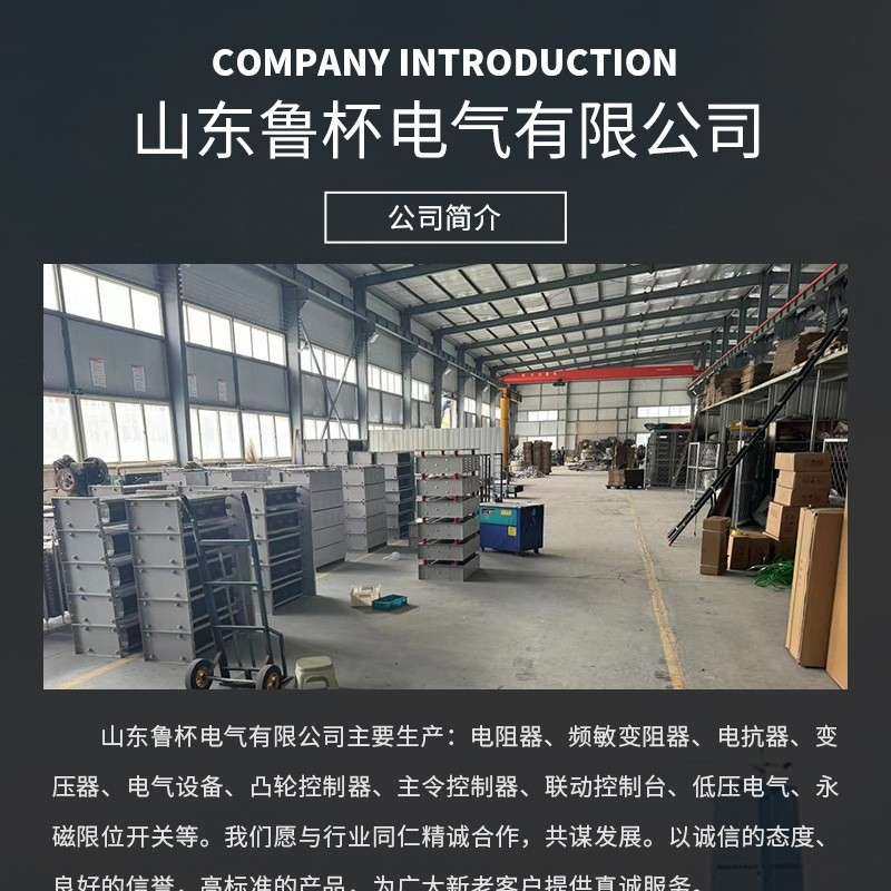 鲁杯100KW高压超大功率负载电阻箱 0-1000KW连续可调,鲜花速递/花卉仿真/绿植园艺,割草机/草坪机,淘宝优惠券,粉丝福利购,淘宝优惠卷