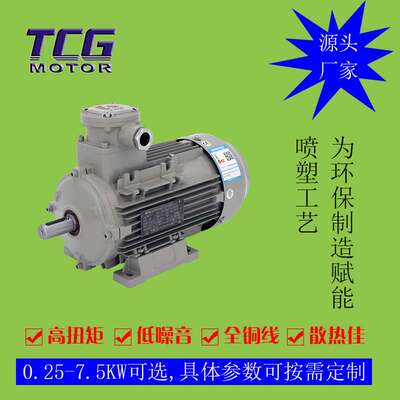 供应0.55kw隔爆防爆电机 小接线盒CT4隔爆型防爆电机550W