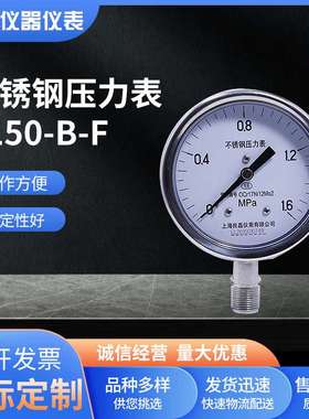上海良磊不锈钢150mm表盘管道油压水压液压负压表Y150BF压力表