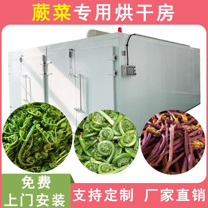 东北山野菜烘干机 空气能热泵山蕨菜脱水烘干房 苜蓿菜野菜烘干机