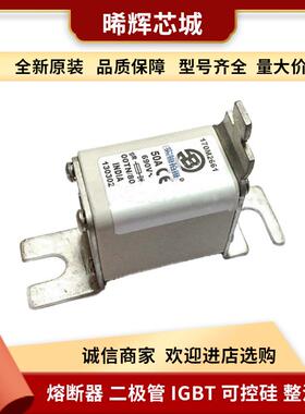 现货170M2661 170M4112 库存充足 巴斯曼低压快速熔断器型号齐全