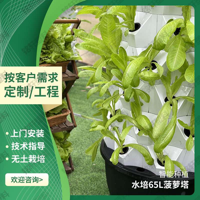 无土栽培菠萝水塔种植塔气雾大棚蔬菜种植设备垂直立体水培种植塔