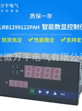 SLRB1217124PAH  智能数显控制仪