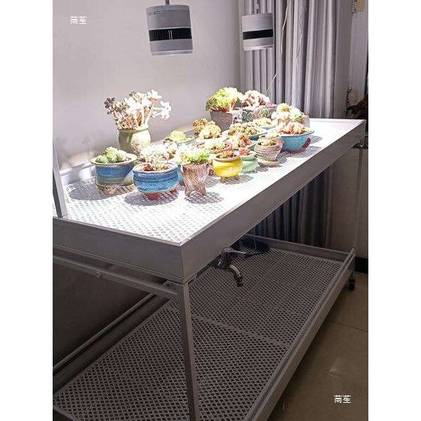多肉花架水槽接水盘块根浸盆多层蝴蝶兰铁皮石斛展示架龟甲龙花架
