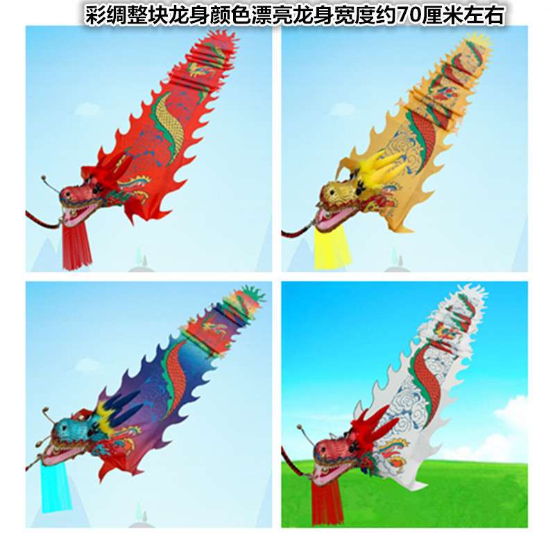 广场健身龙舞龙彩带甩彩龙彩条龙头中老年彩绸甩龙舞台飘带
