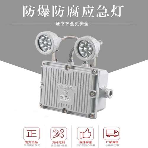 LED双头防爆应急灯12V24V2×5W2×10W应急90分120分180分应急长时