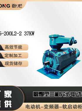 YBX5-200L2-2 37KW 矿用防爆步进电机 高压防爆电动机  卧龙电气