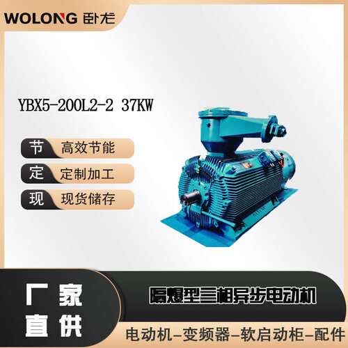 YBX5-200L2-2 37KW 矿用防爆步进电机 高压防爆电动机  卧龙电气