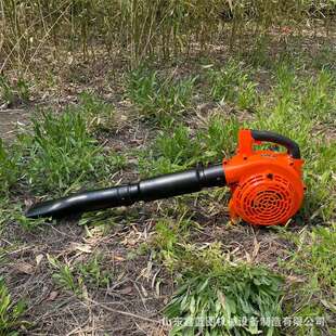 马路公园背负式汽油吹风机 大棚积雪灰尘清理机 手持式草地吹吸机