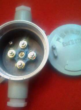 IIC级防爆接线盒 二通 三通防爆接线盒