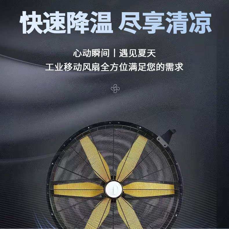 雷豹EF4822通风降温设备网吧工厂车间移动工业大风扇直流无刷电机