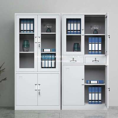 铁皮柜办公室钢制文件柜档案柜资料柜财务凭证带锁矮柜24门储物柜