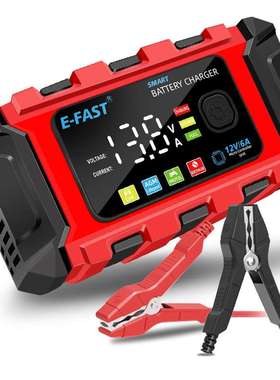 E-FAST Lead Iron  LiFePo4 Battery Charger 12V Automotive Bat