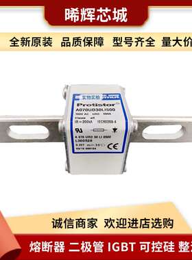 A070UD30LI500  L300666低压快速熔断器电子元器件 库存充足