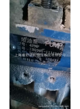 YC喷油泵IBQ351-1111100 B4PM907N和1BQ351-1111100A B4PM907W16