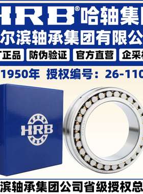 HRB 哈尔滨轴承 NN 3028 3030 3032 3034 K/W33 P5 P4  圆柱滚子