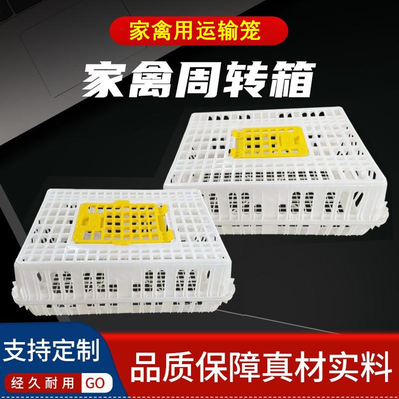 运输鸡笼加厚成鸡周转箱特大周转筐鸭鹅鸽子笼家用鸡筐塑料鸡笼子