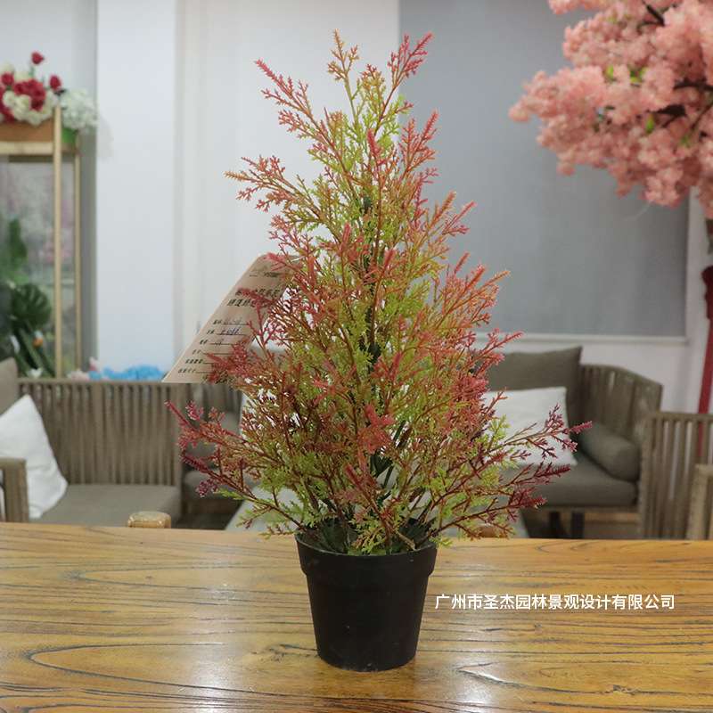 仿真松柏盆栽酒店柜台家居装饰用仿真迷你盆栽可定作阻燃仿真植物图片