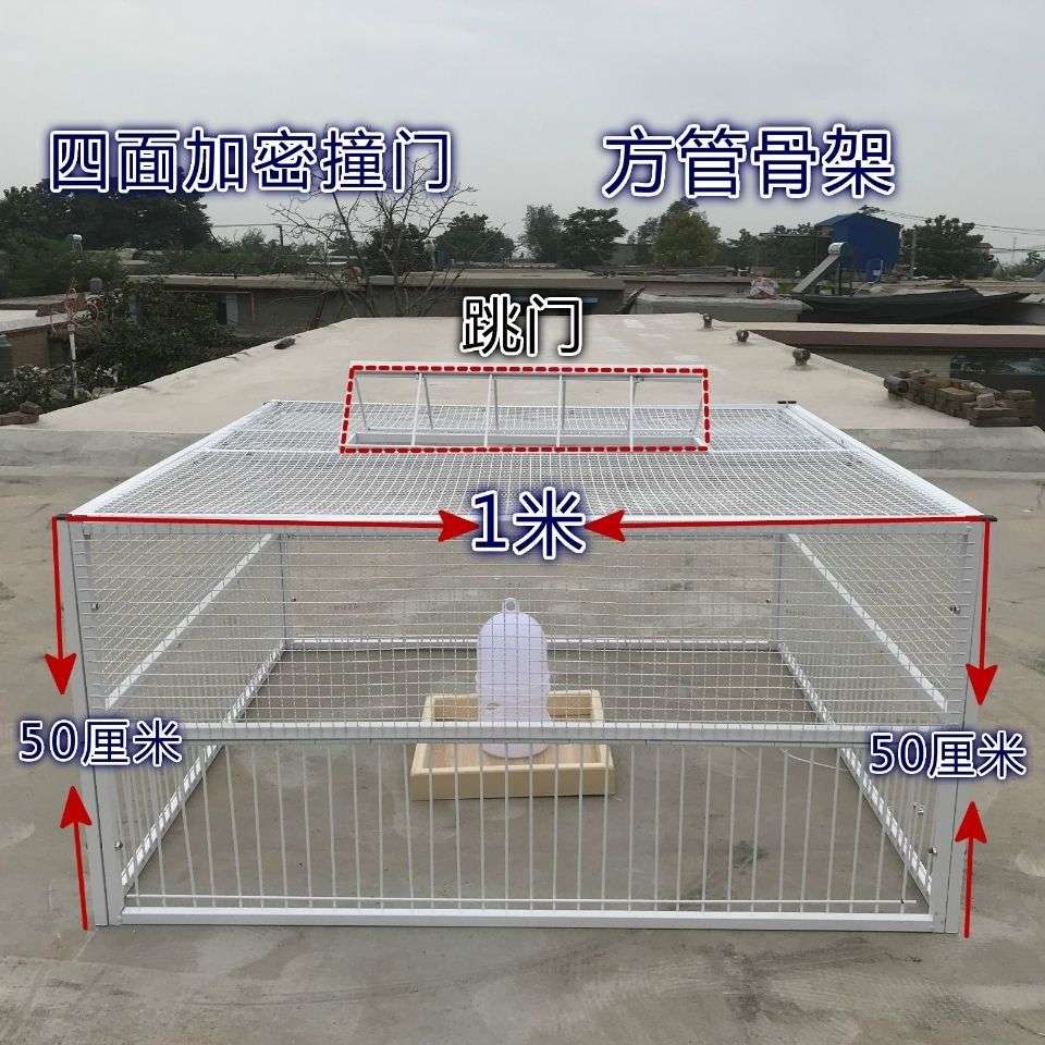 天落笼捕天落四面埋伏方管螺丝固定结实耐用捕鸽子笼方便灵活放跑