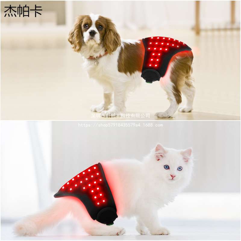便携宠物理疗猫猫狗狗腹部屁股背部狗腿恢复骨折自动定时