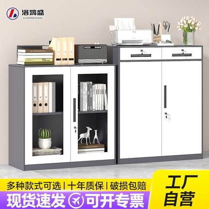 铁皮文件柜办公室资料档案柜财务凭证柜抽屉带锁储物柜二斗矮柜