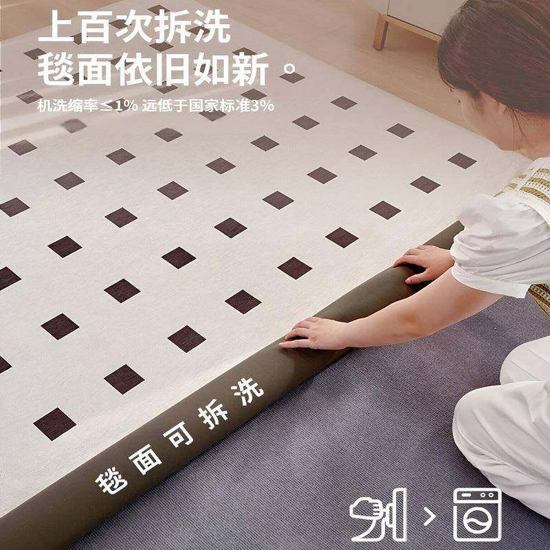 地毯客厅2025新款轻奢高级可机洗可拆洗奶油风沙发地垫大面积全铺