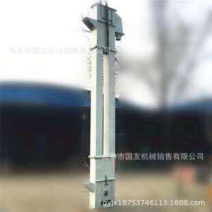 散料垂直提升机 不漏料瓦斗上料机厂家 石英砂钢斗链式输送机