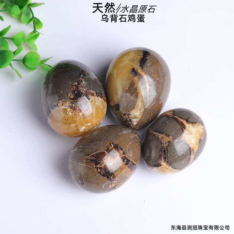 天然龟背石原石把玩 大颗粒鸡蛋乌背石摆件  家居装饰工艺品摆件,鲜花速递/花卉仿真/绿植园艺,割草机/草坪机,淘宝优惠券,粉丝福利购,淘宝优惠卷