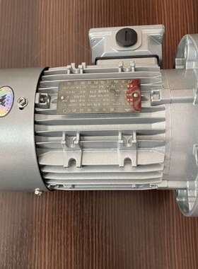 YE2/YE3/YE4-100L2-4-3KW丹东山川/赛孚特/江晟微型铝壳电机