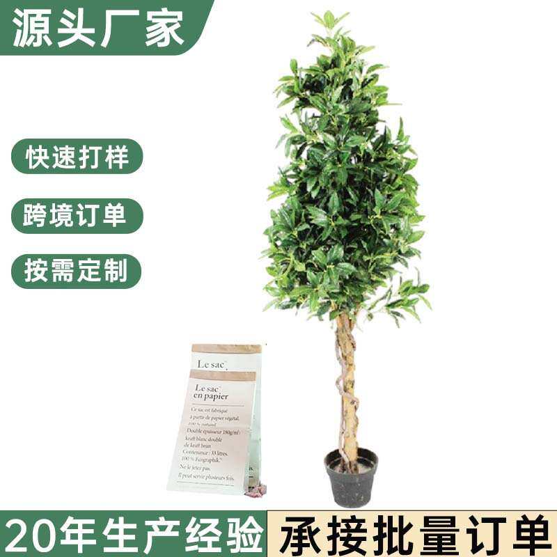 北欧仿真月桂树人造桂花盆景家居装饰绿植月桂树盆栽落地仿真植物