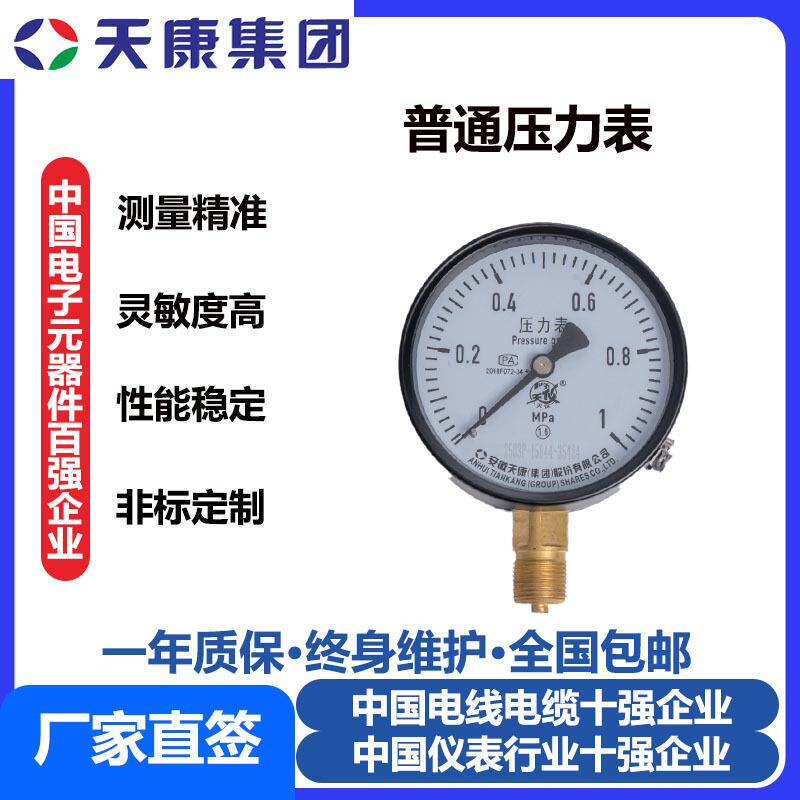 安徽天康集团普通压力表径向高温蒸汽水压液位压力表