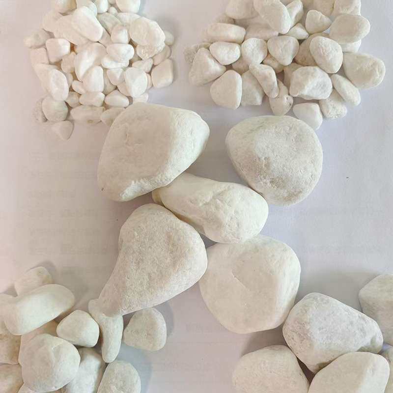 白色石子园林铺路庭院装饰白色垫脚石园林造景辅路盆栽铺面白石子
