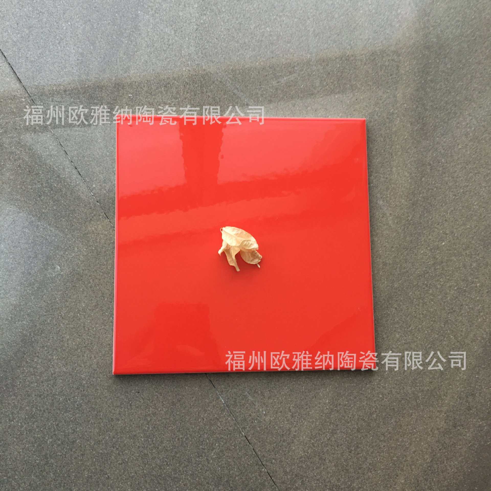 小规格瓷砖卫生间厨房不透水瓷片200x200彩色内墙砖