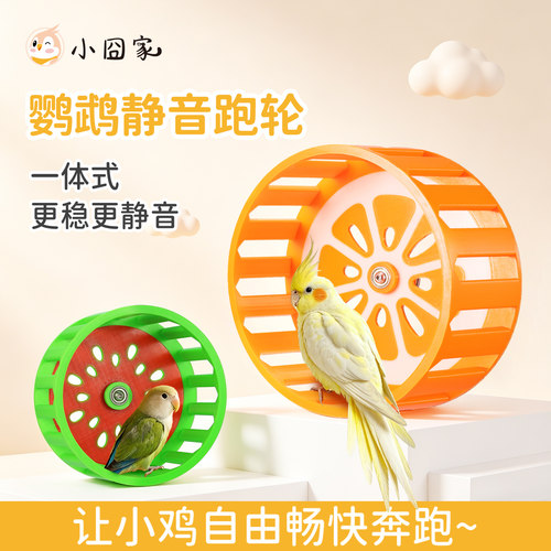 PET一体式可水洗鹦鹉跑轮玩具