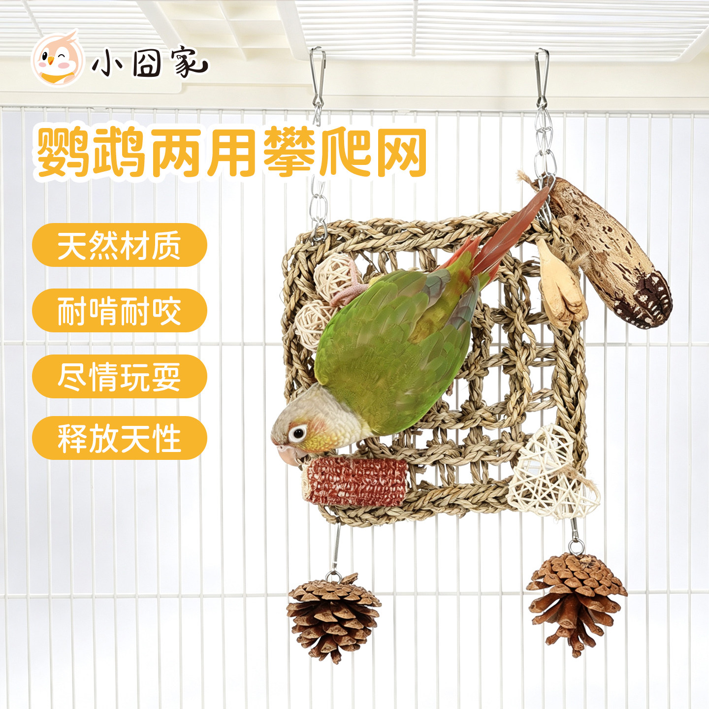 鹦鹉攀爬网草编吊床秋千图片