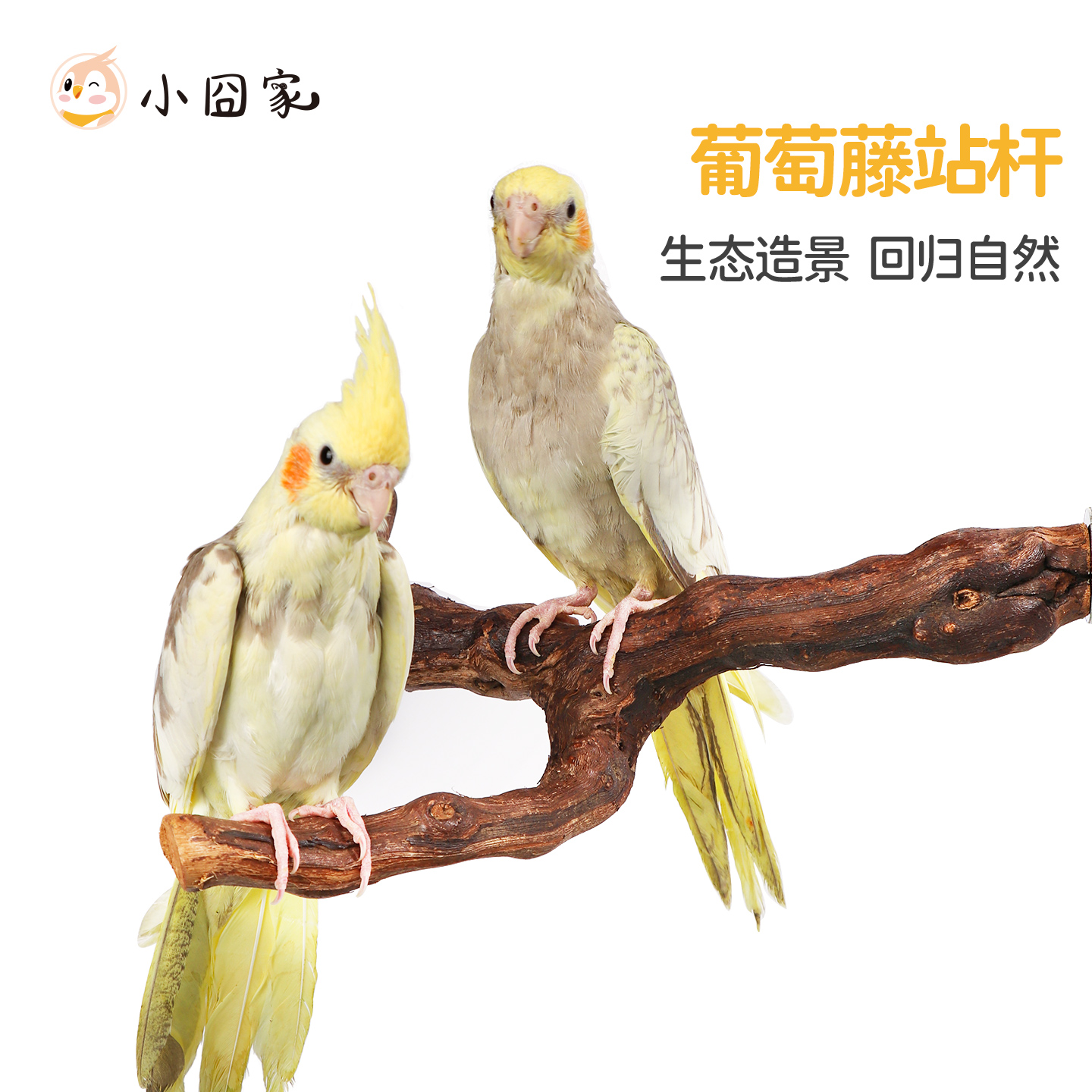 葡萄藤鹦鹉站杆站架笼内玩具