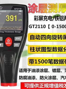 标智GT2100 2110涂层测厚仪漆膜仪 车漆面厚度仪油漆测厚仪膜厚仪