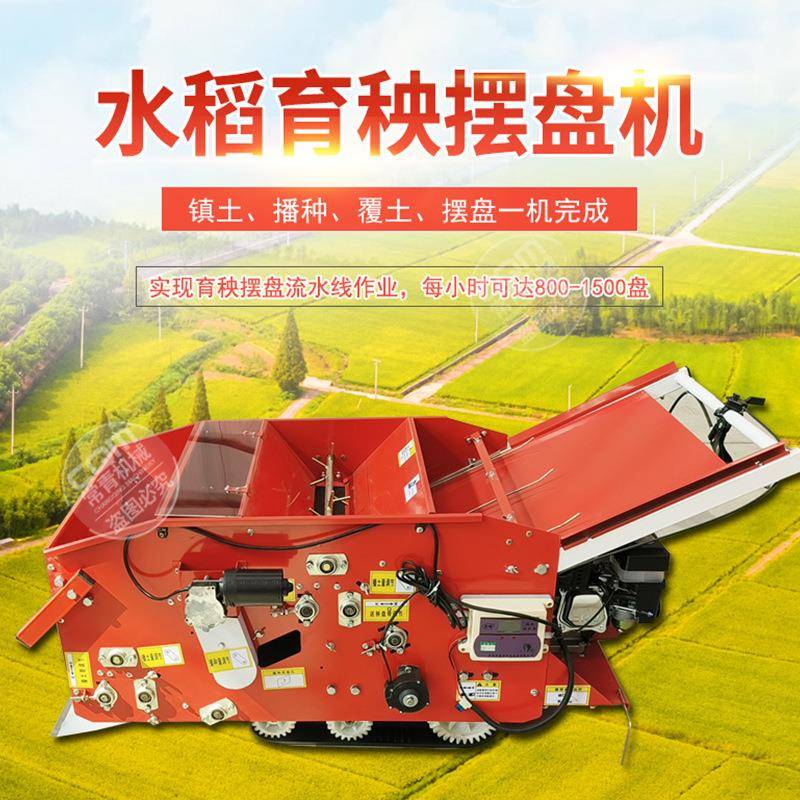 水稻育秧摆盘机自动电动汽油抛秧稻谷大棚育苗秧盘播种覆土一体机