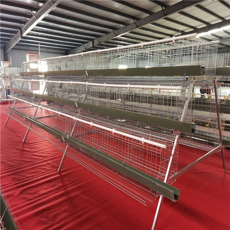三层四层阶梯式蛋鸡笼笼具家用养殖场用自家工厂鸡舍鸡窝