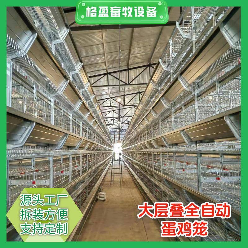 厂家直销全自动大层叠蛋鸡笼立式蛋鸡笼养鸡场养殖设备收蛋清粪