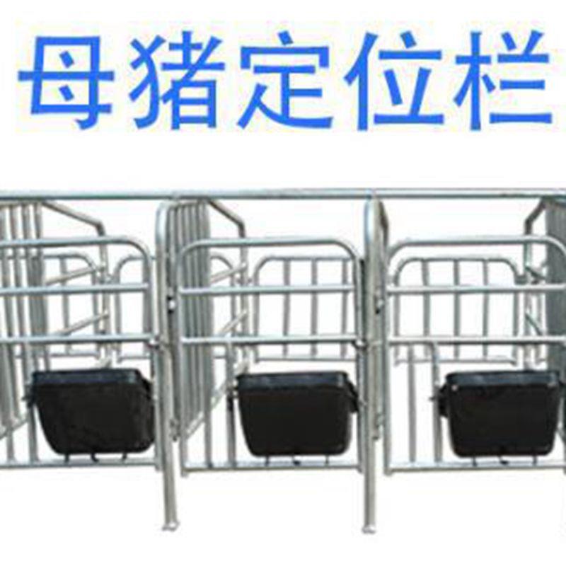 厂价供应养猪设备限位栏定位栏配复合板漏粪板质保3年
