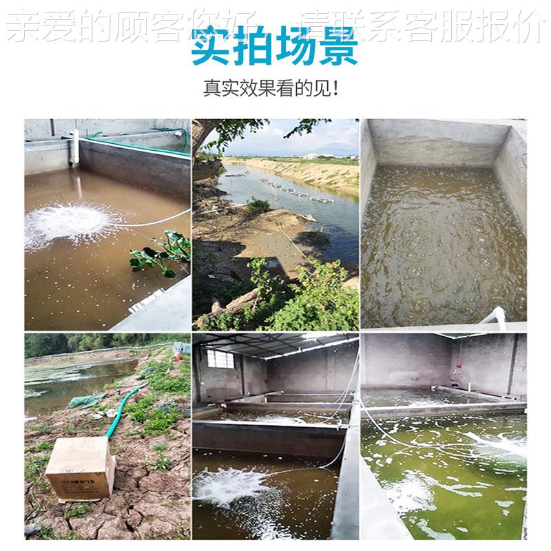 气4KW/氧380V高压漩涡201气泵节能产养水殖鱼塘增机污水曝机