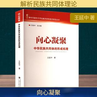 【新华正版】 向心凝聚 中华民族共同体的形成机理 王延中 著 广西民族出版社