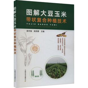 【新华正版】 图解大豆玉米带状复合种植技术 中国农业出版社 高中强高凤菊 编