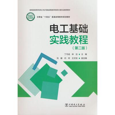 【新华正版】 电工基础实践教程（第二版） 丁守成林洁 中国电力出版社